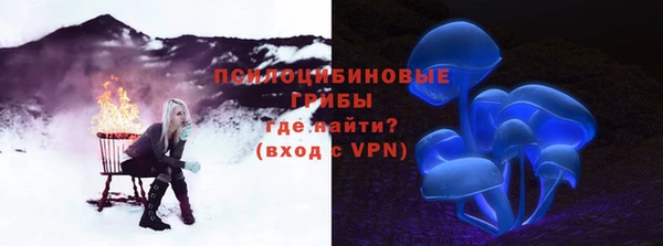спайс Сатка